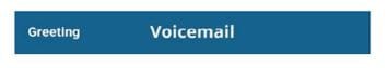 greeting voicemail